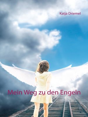 cover image of Mein Weg zu den Engeln